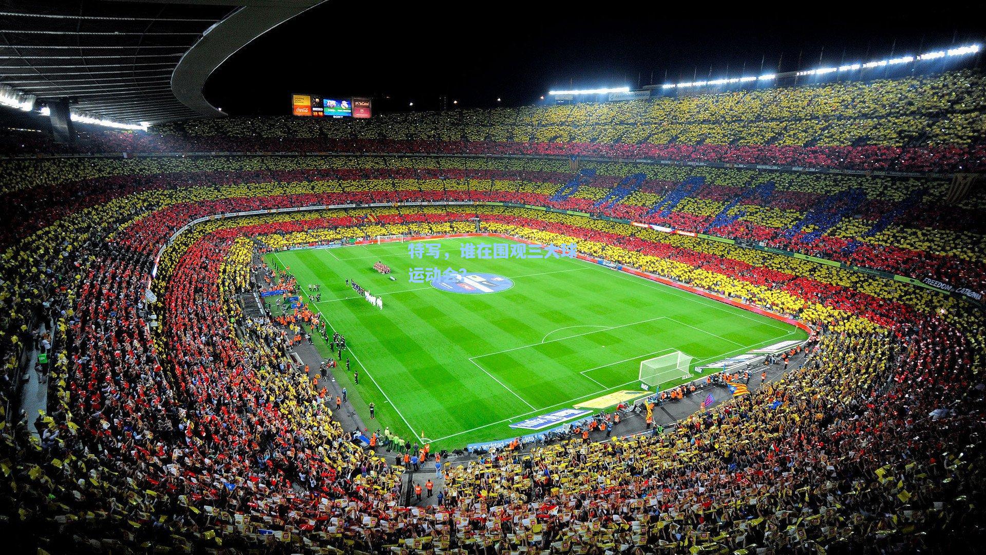 特写，谁在围观三大球运动会？